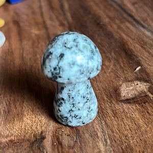 Sesame Jasper Mushroom
